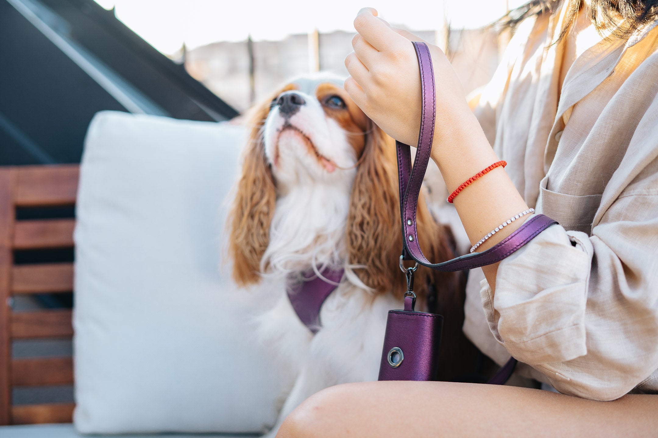 Leather Dog Collar Tino Purple