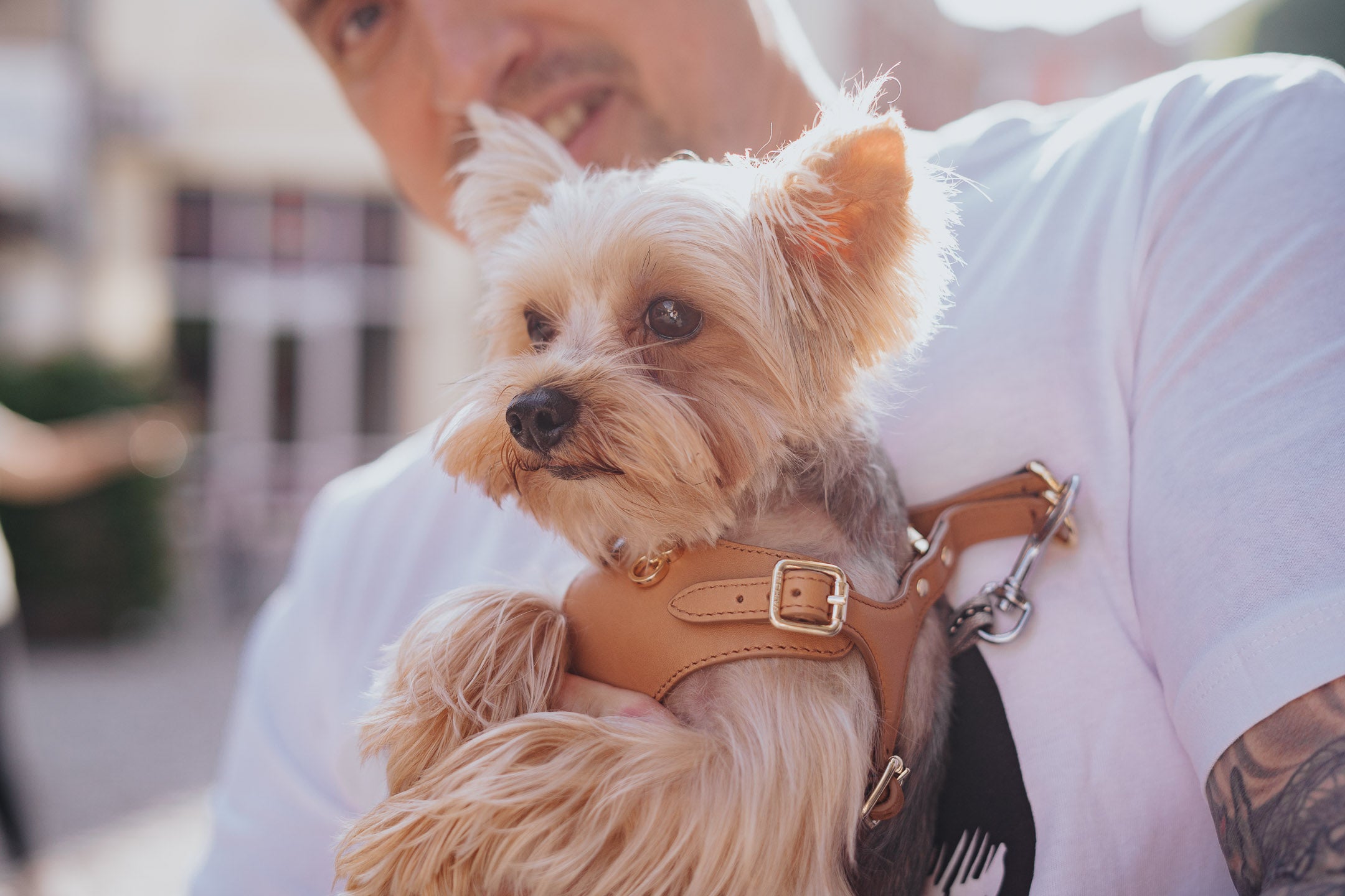 Leather Dog Leash Tino Cognac