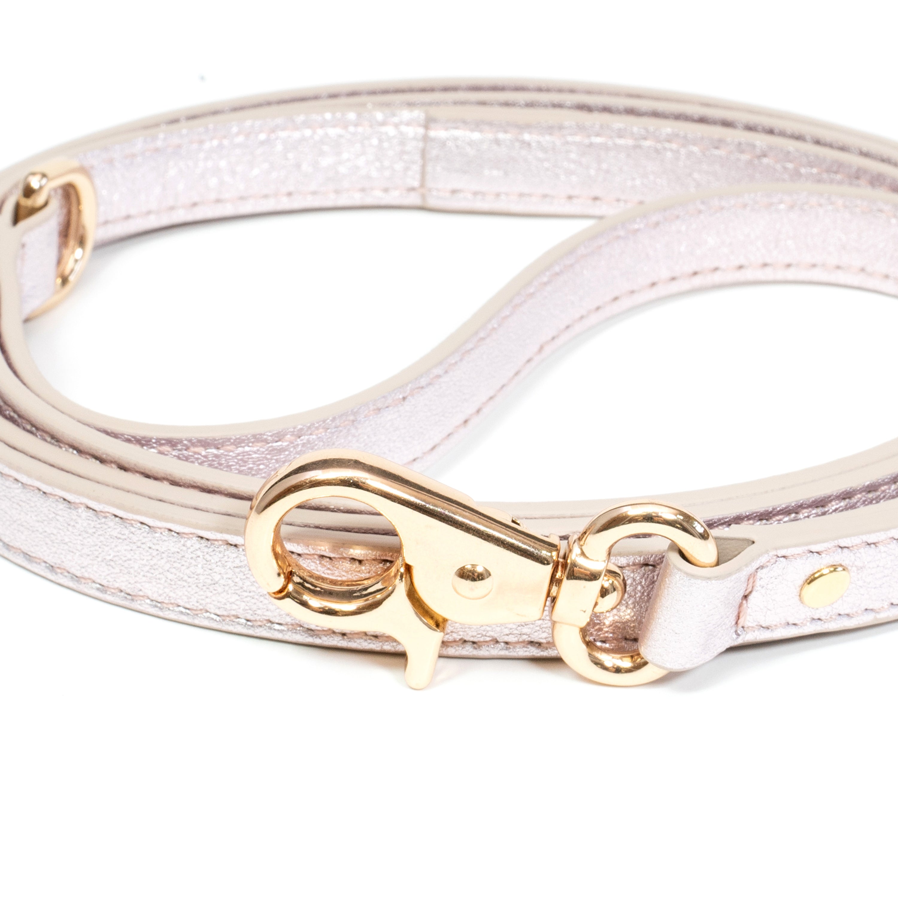 Leather Dog Leash Tino Silver Rose