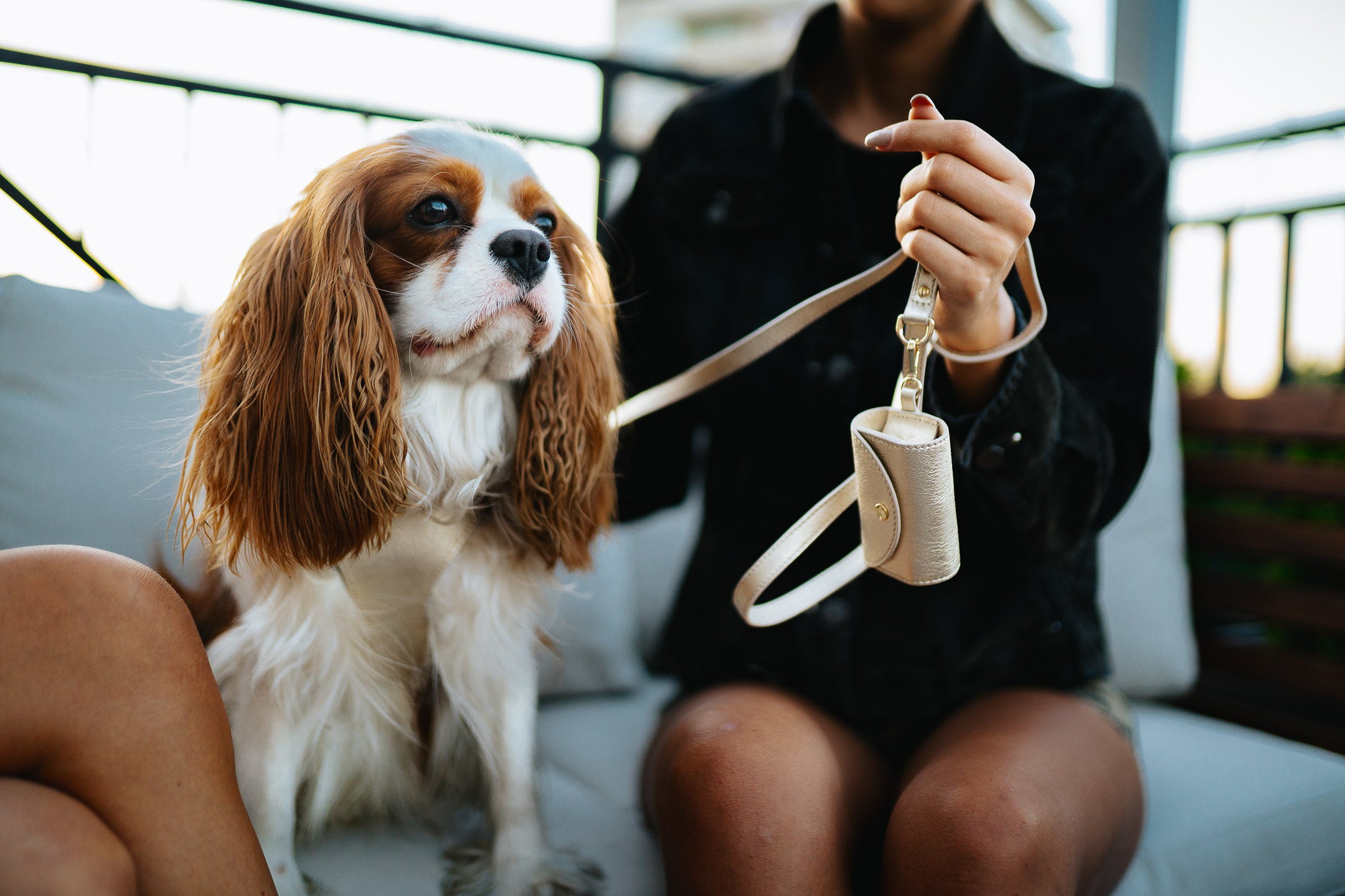 Leather Dog Collar Tino Light Gold