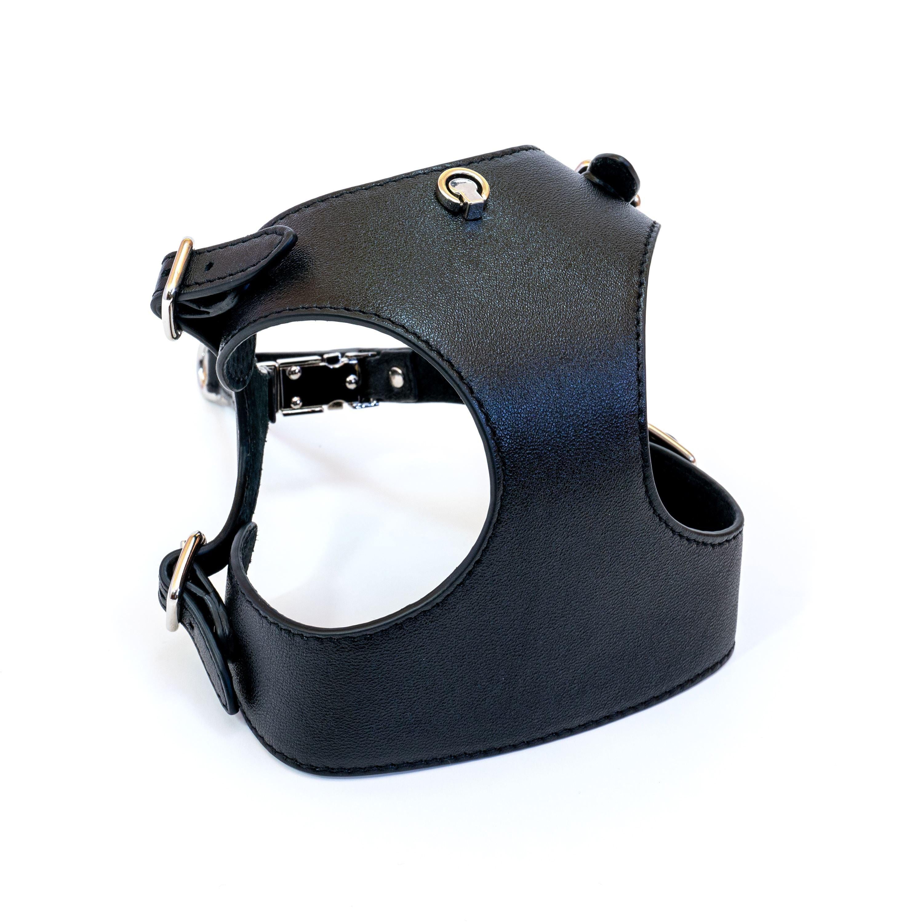 Dog Harness Tino Black - Bechiva