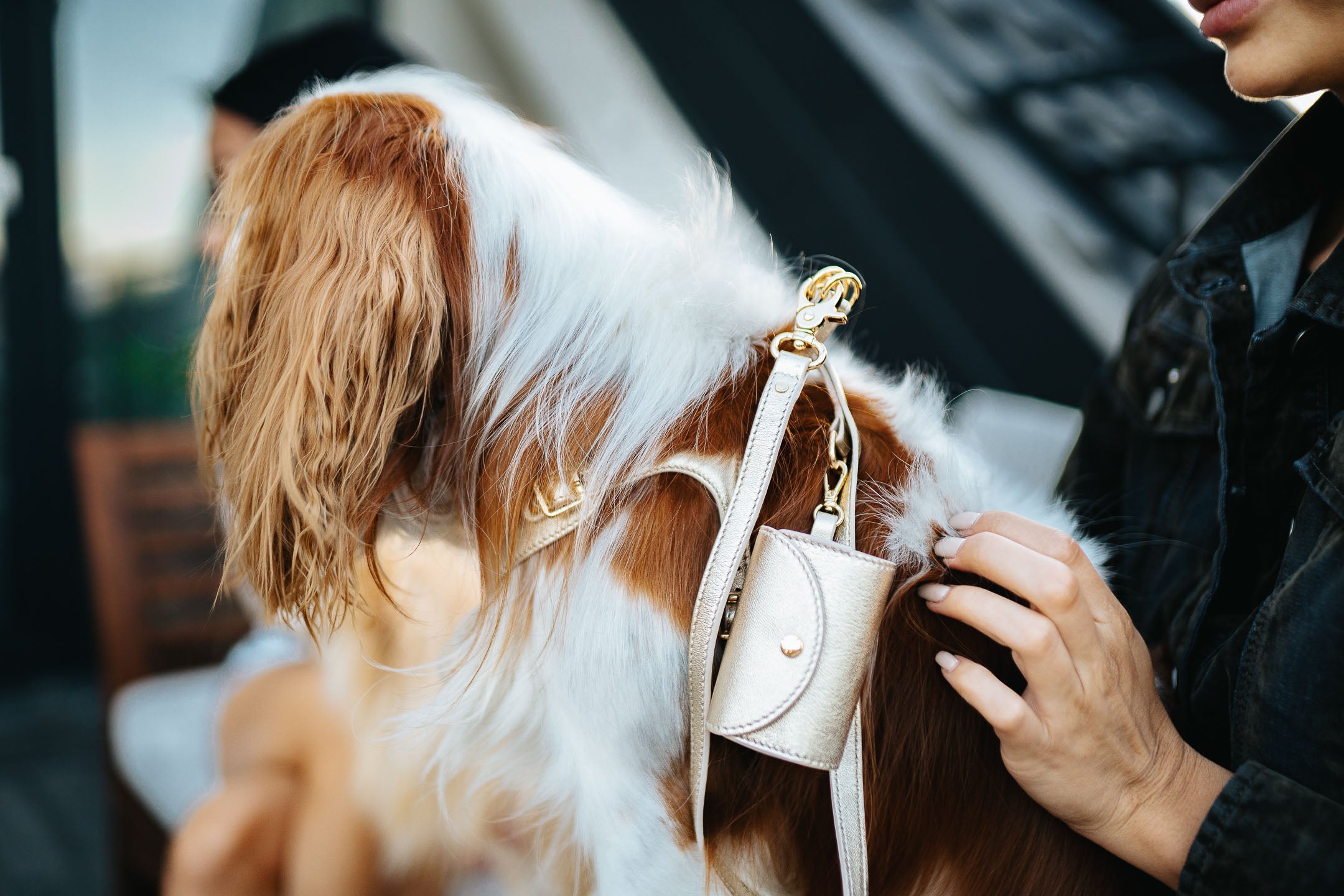 Dog Dispenser Bag Light Gold