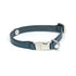 Leather Dog Collar Tino Blue - Bechiva