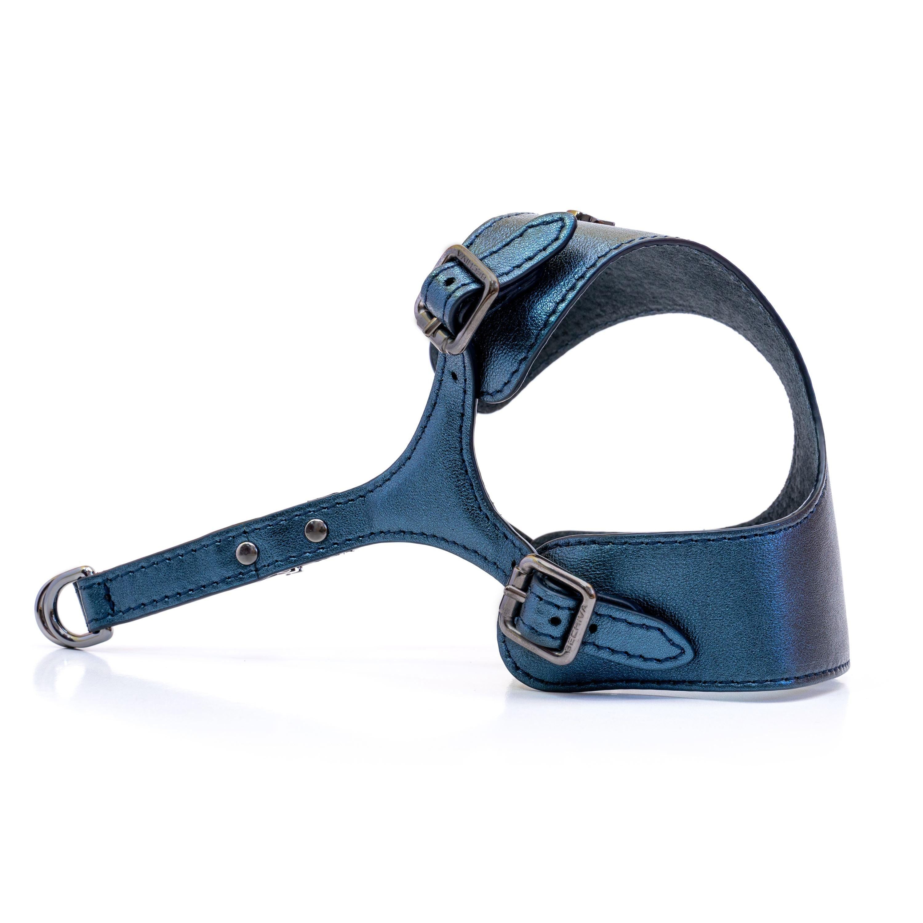 Dog Harness Tino Blue - Bechiva