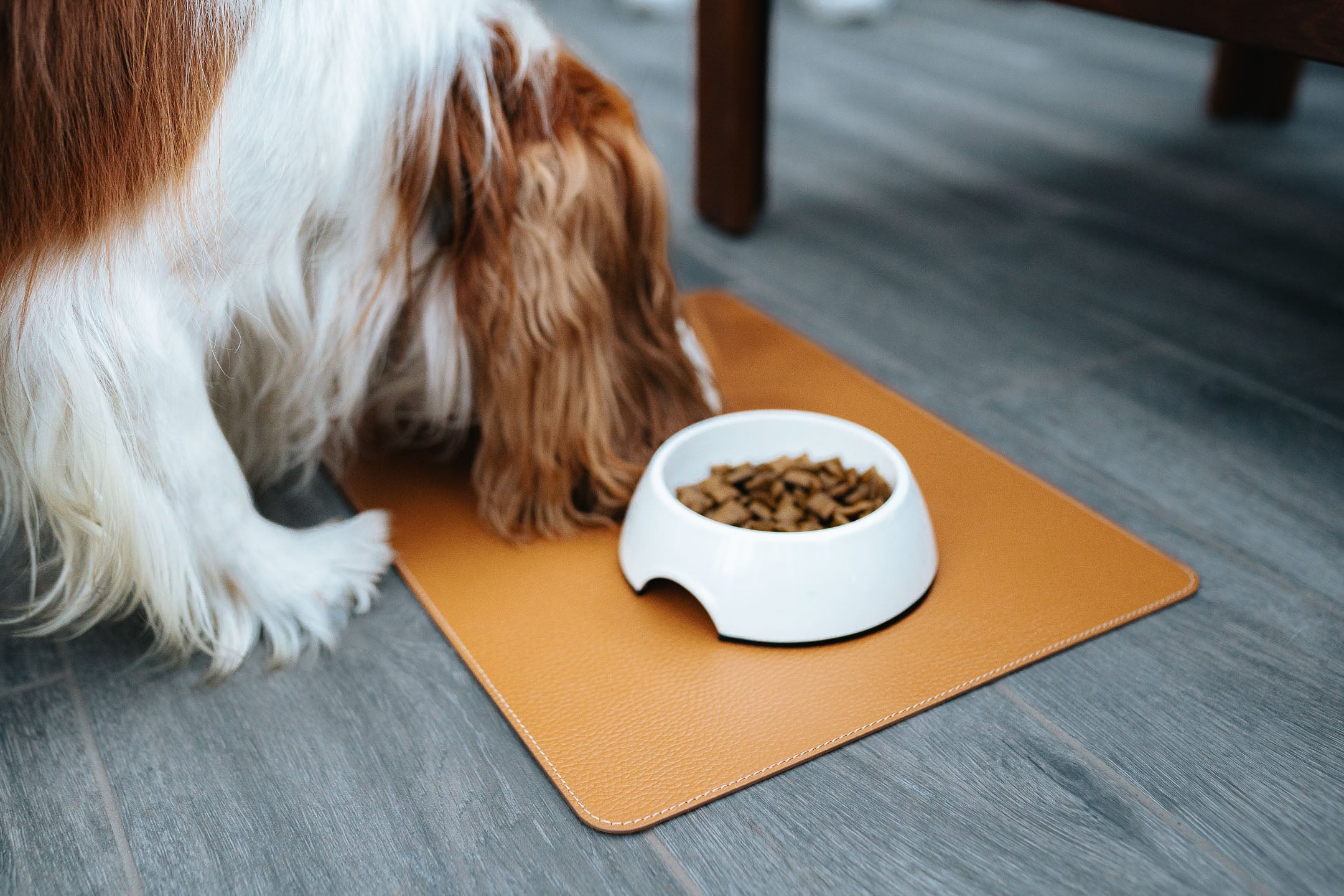 Recycled Leather Dog Mat