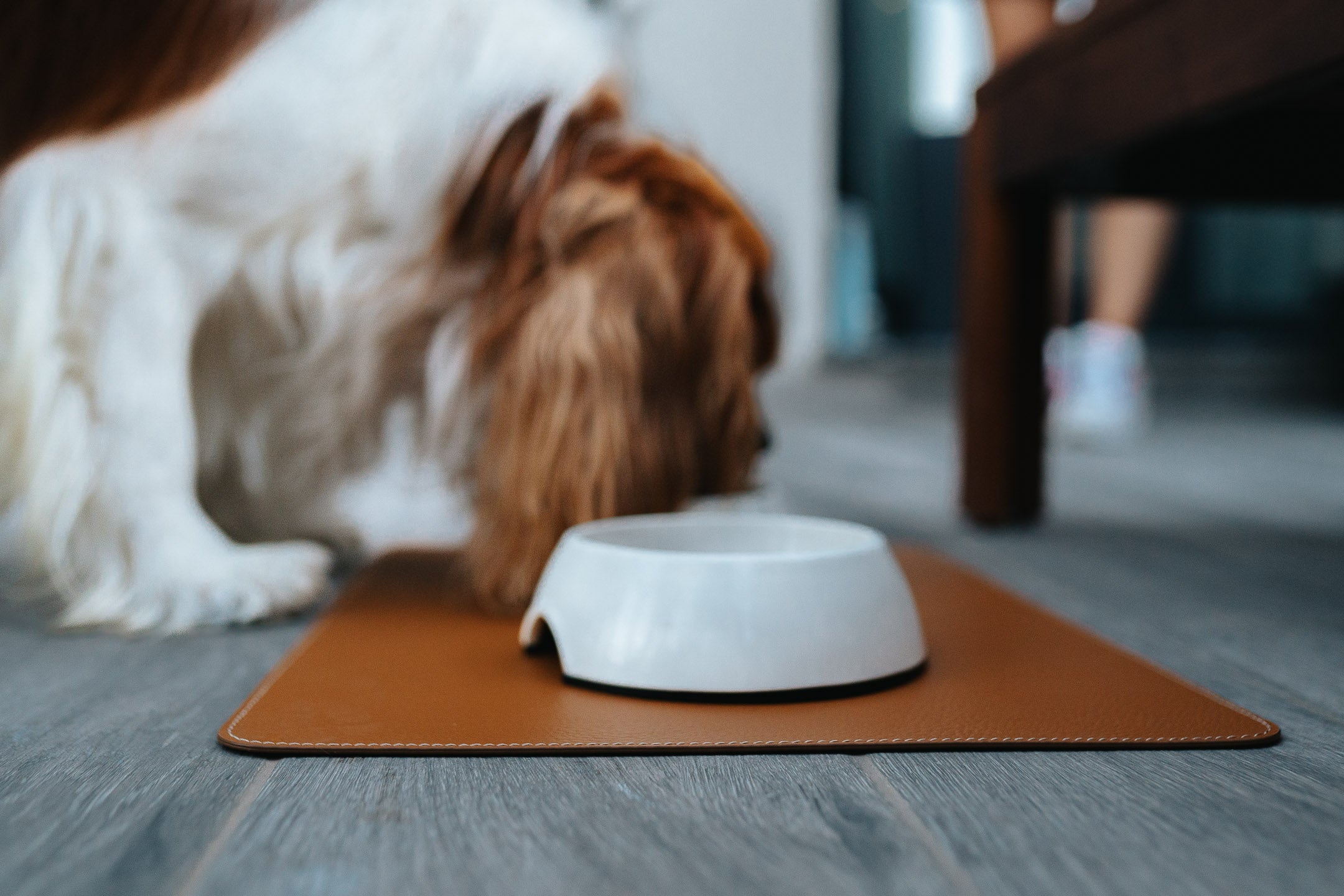 Recycled Leather Dog Mat