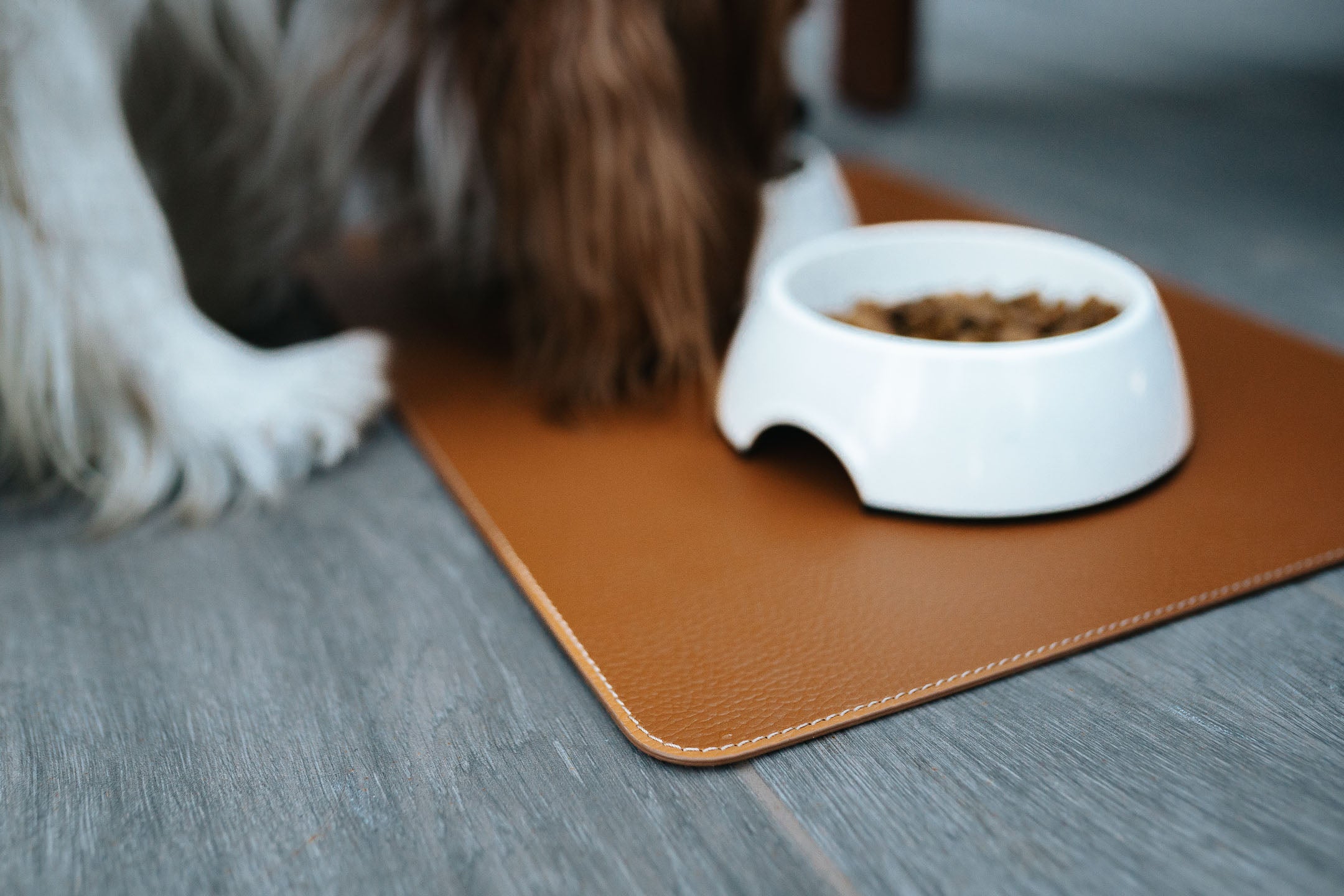 Recycled Leather Dog Mat