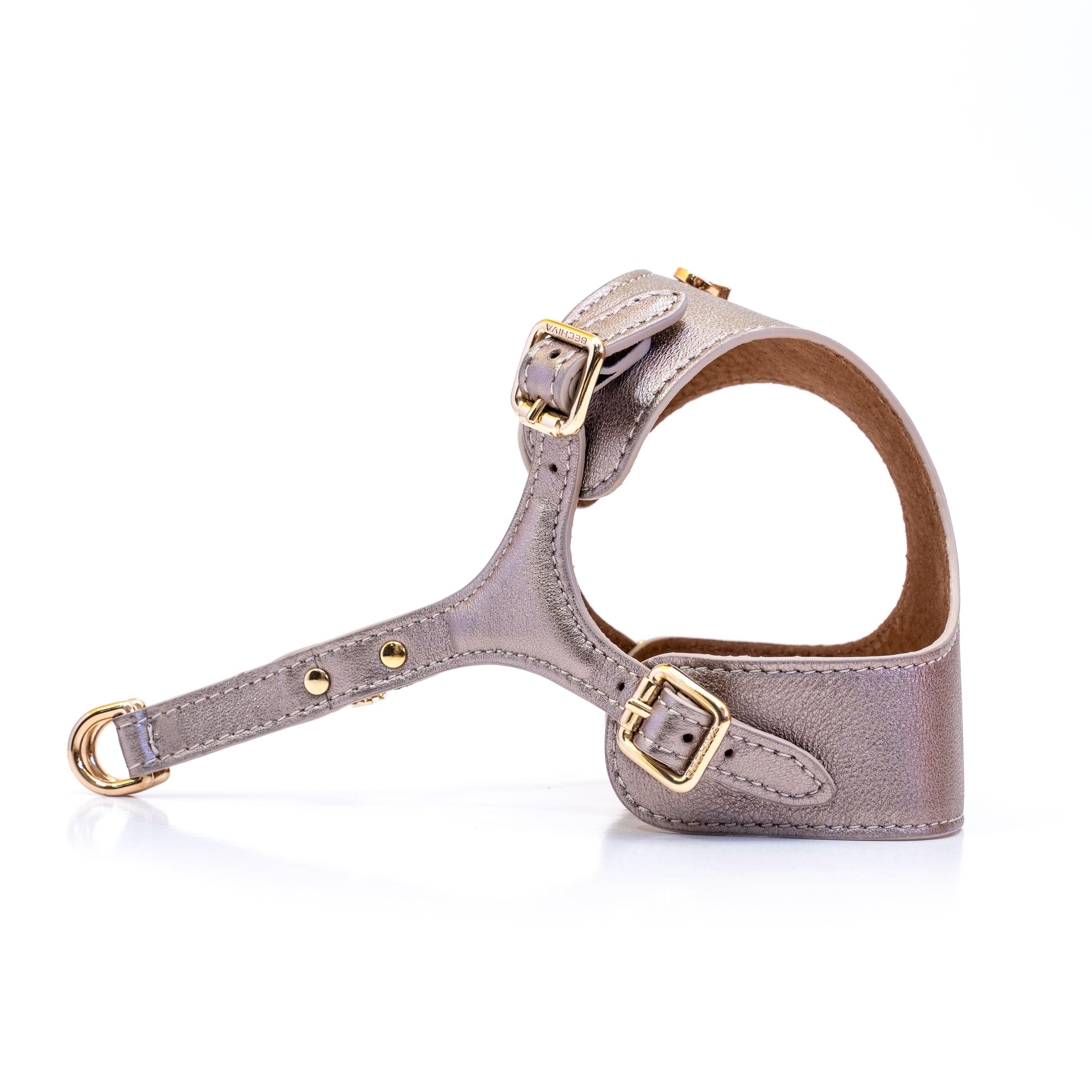 Dog Harness Tino Gold - Bechiva