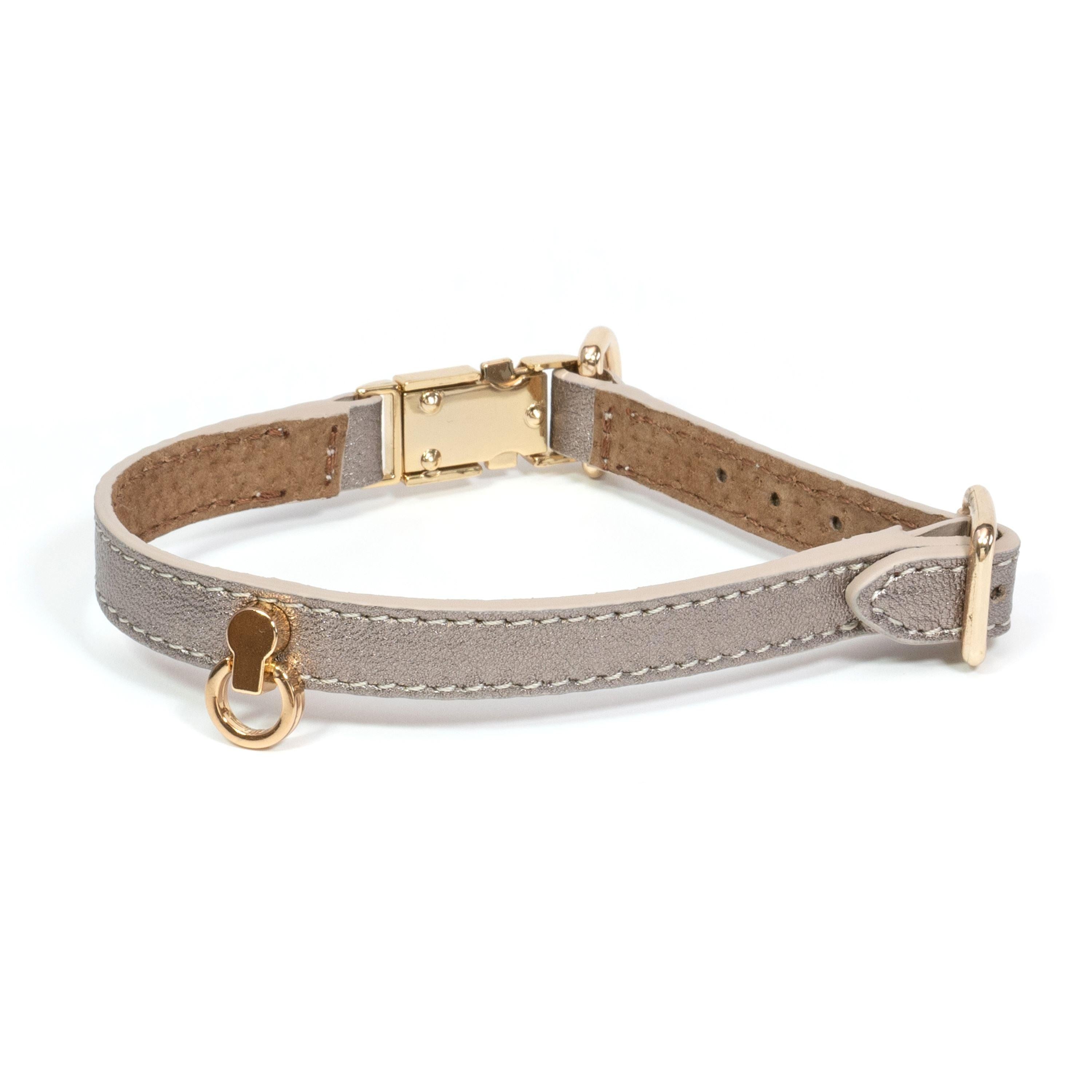 Leather Dog Collar Tino Gold - Bechiva