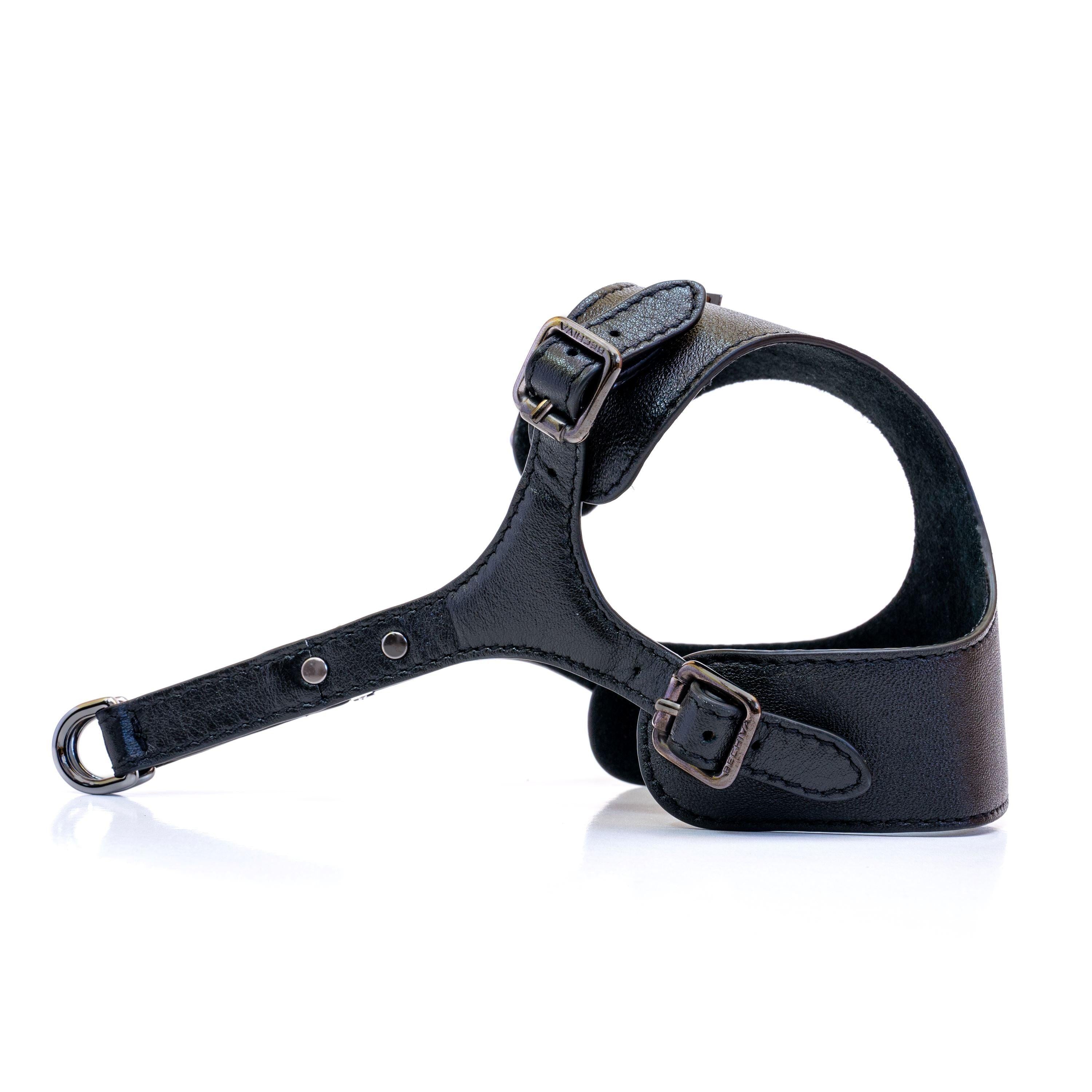 Dog Harness Tino Black - Bechiva