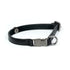 Leather Dog Collar Tino Black - Bechiva