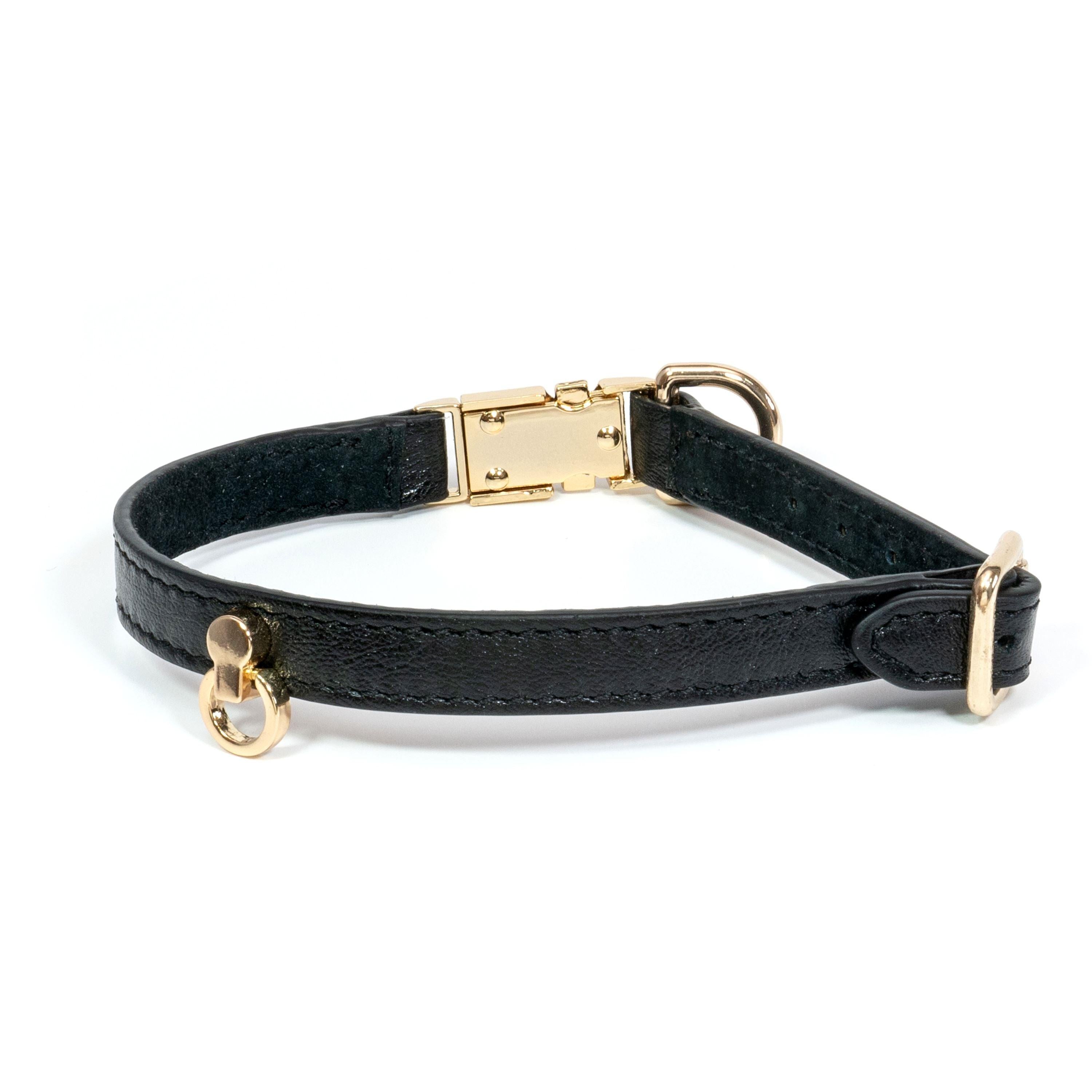 Leather Dog Collar Tino Black - Bechiva