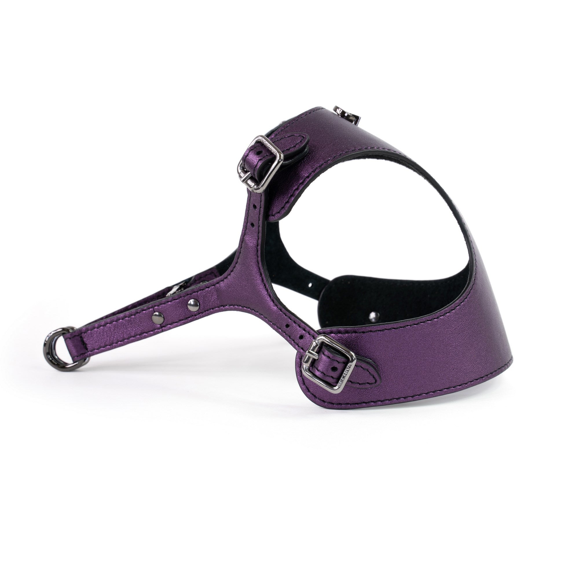 Dog Harness Tino Purple