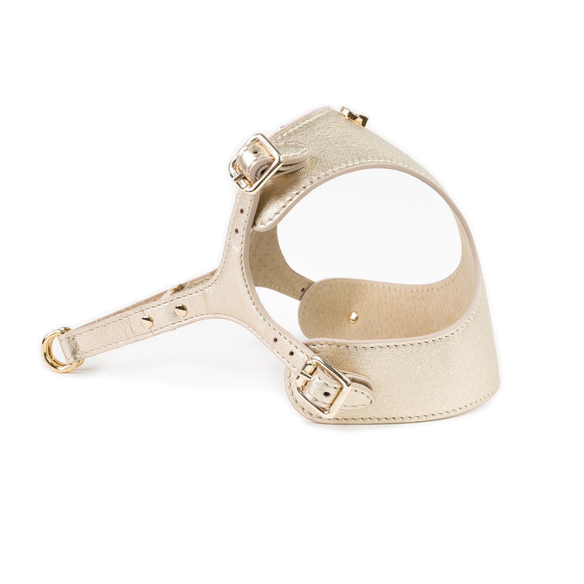 Dog Harness Tino Light Gold