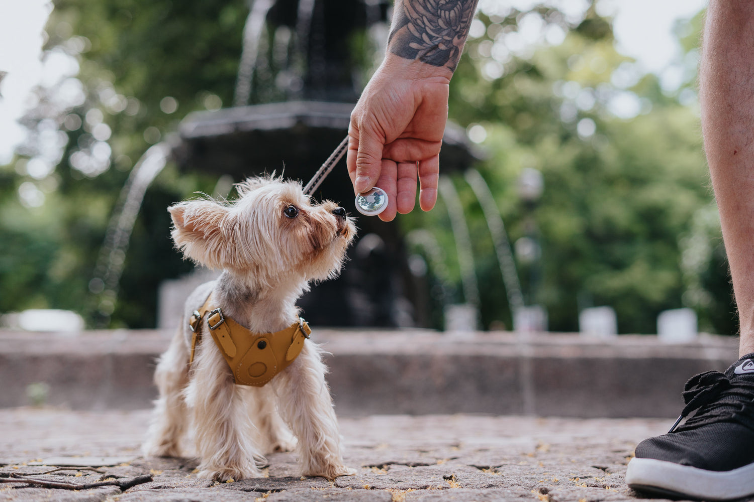 AIRTAG Harness for Dogs&amp;Cats