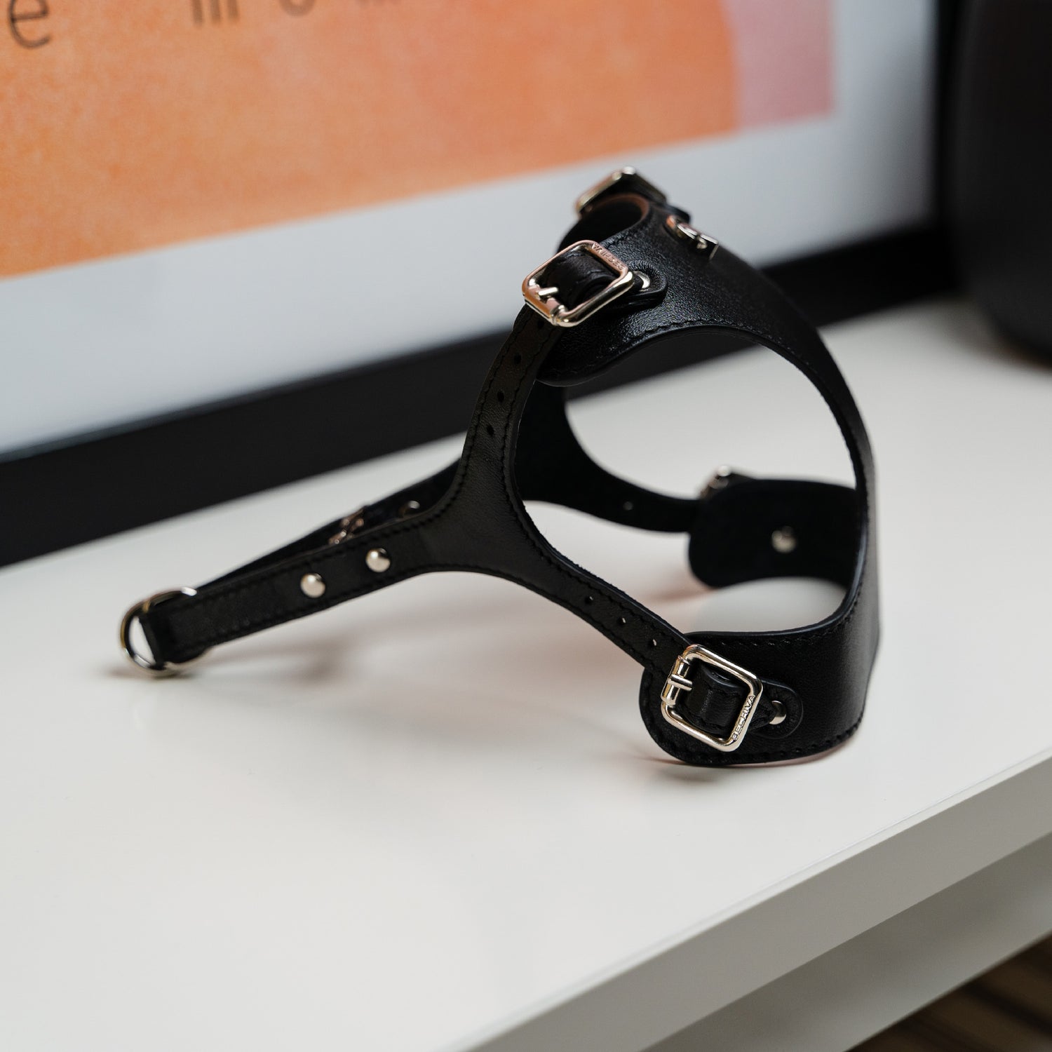 Harnesses For Dogs &amp; Puppies - Bechiva
