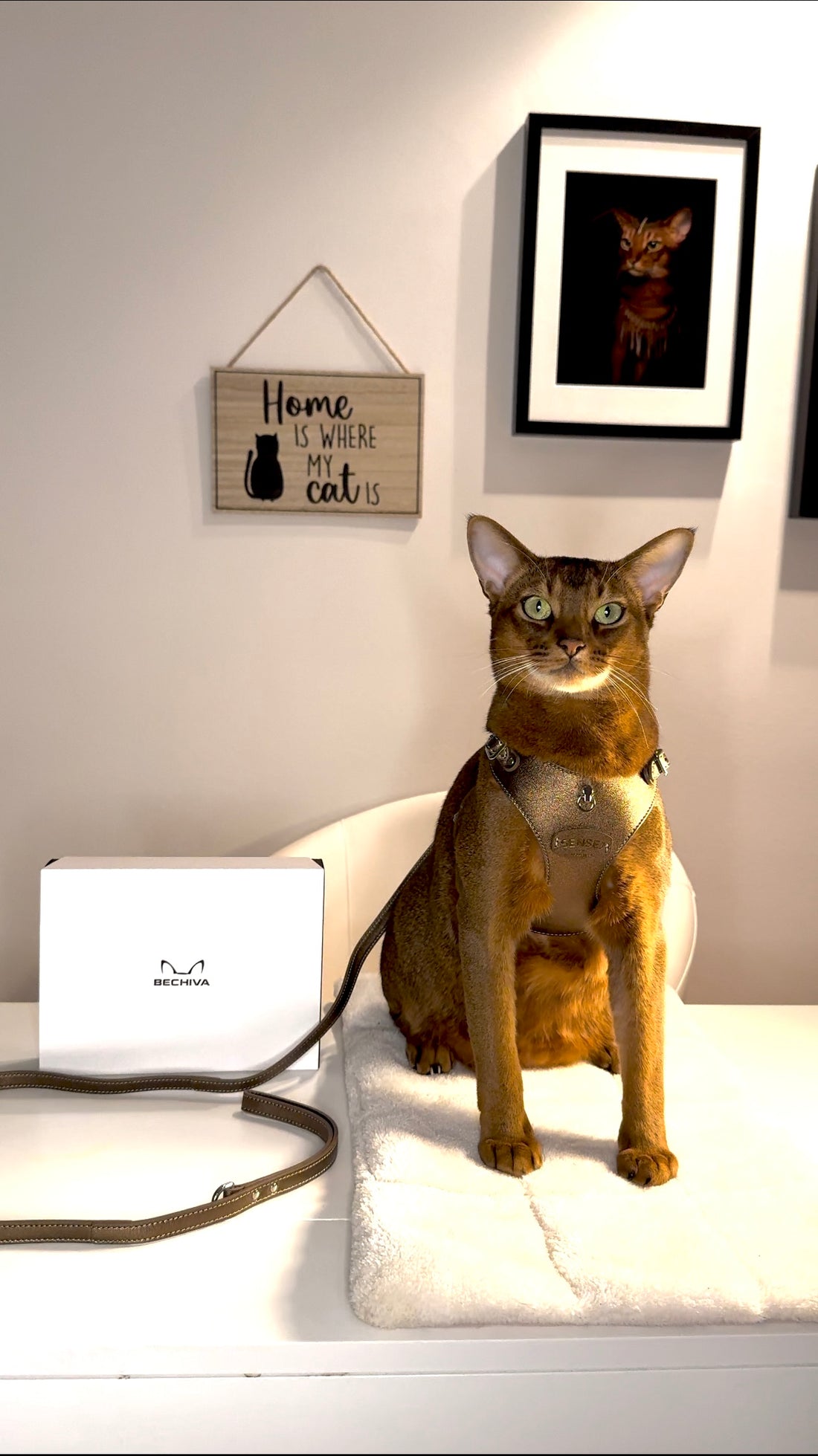 <tc>Нагръдник SENSEJ Basic Limited Edition</tc>