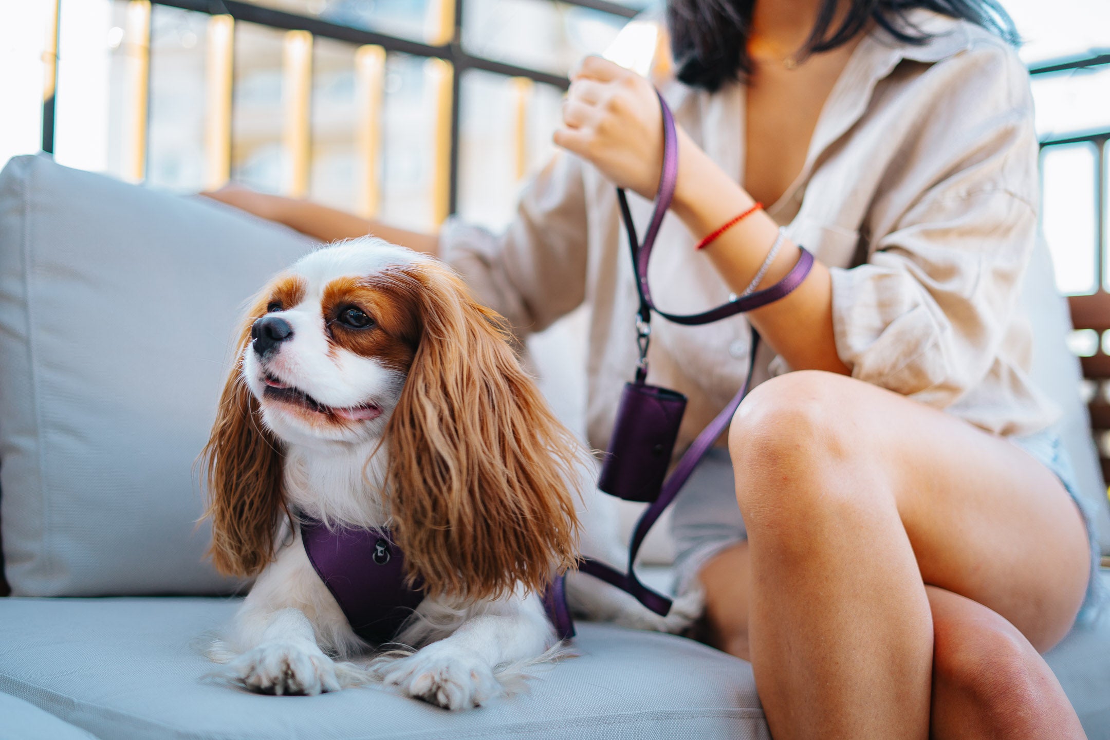 Dog Harness Tino Red 🖐 handmade from Bechiva