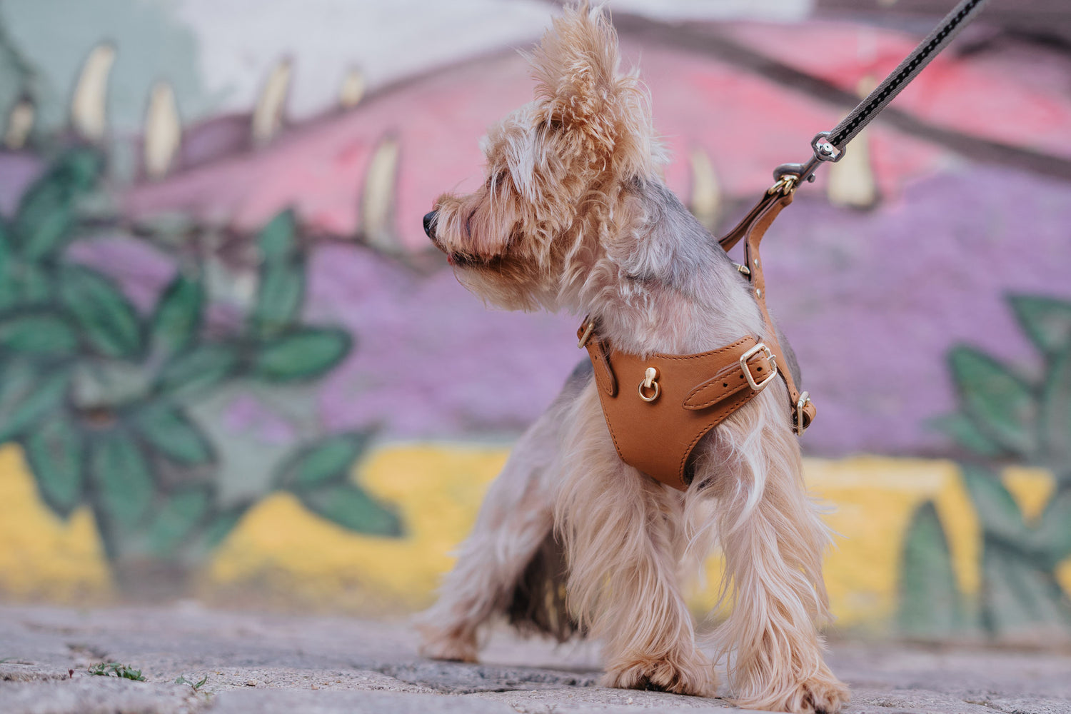 Dog Dispenser Bag Cognac