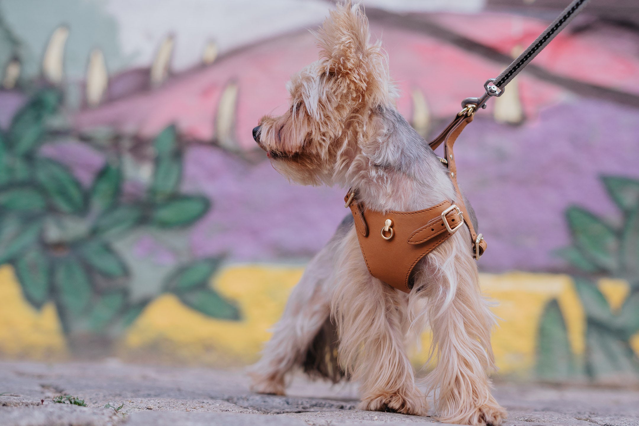 Dog Dispenser Bag Cognac