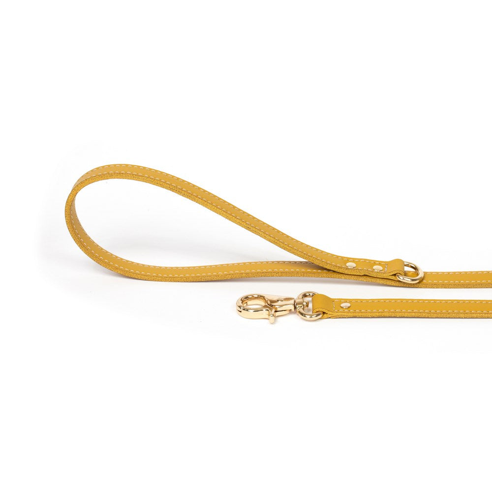 Dog Leash Bechiva Basic