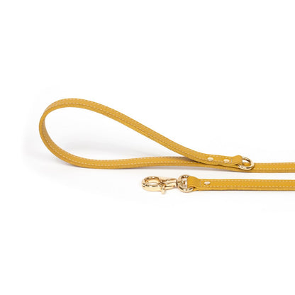 Dog Leash Bechiva Basic