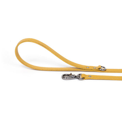 Dog Leash Bechiva Basic