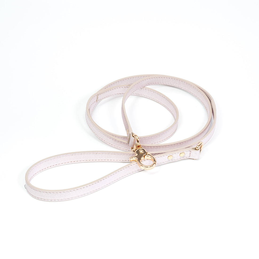 Leather Dog Leash Tino Silver Rose