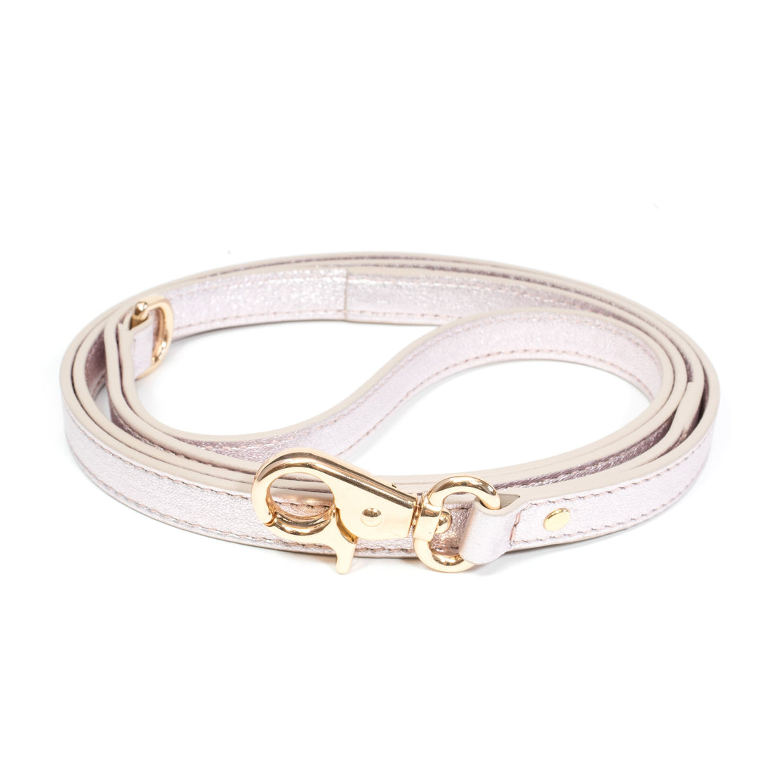 Leather Dog Leash Tino Silver Rose