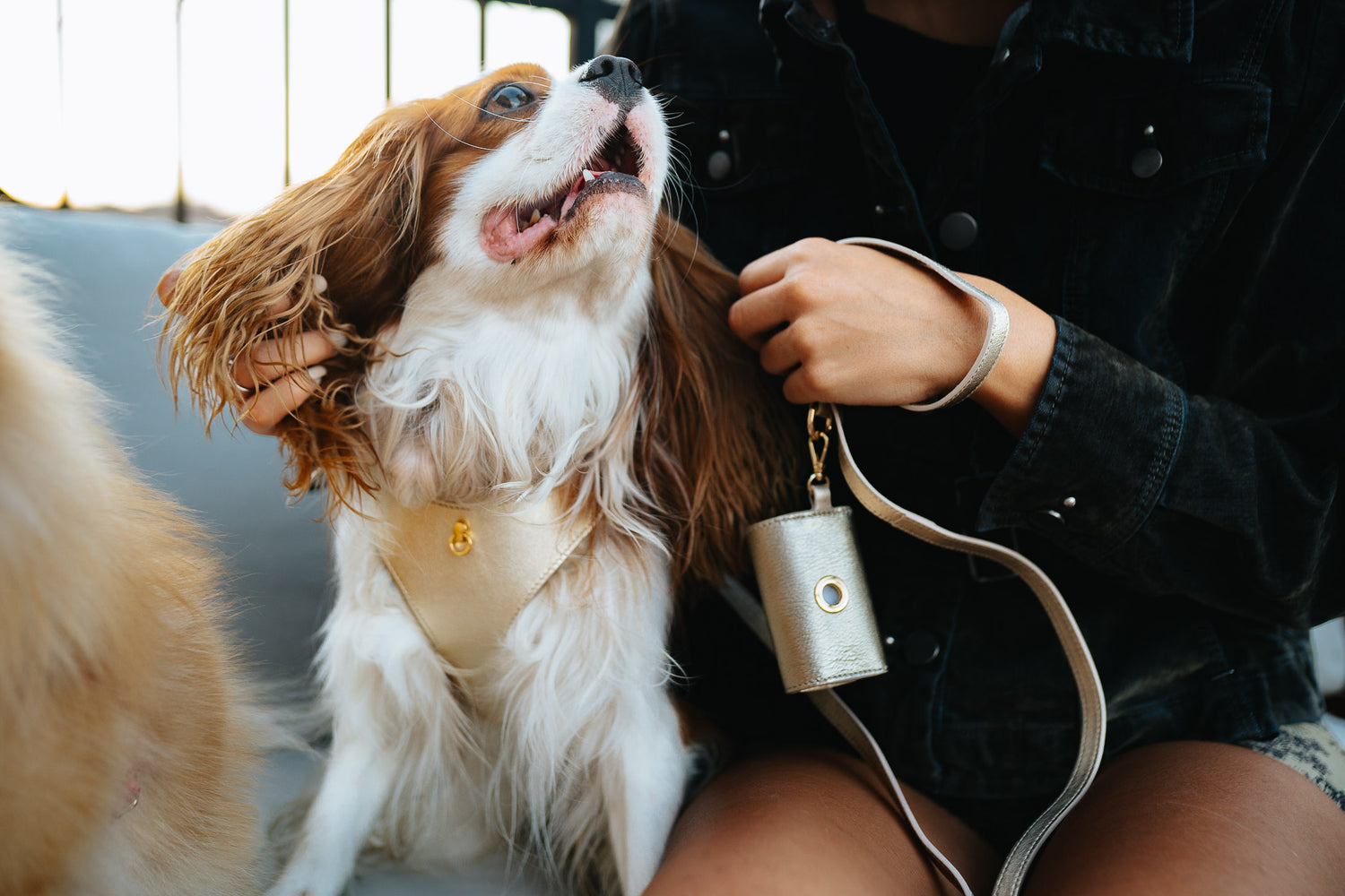 Dog Dispenser Bag Light Gold