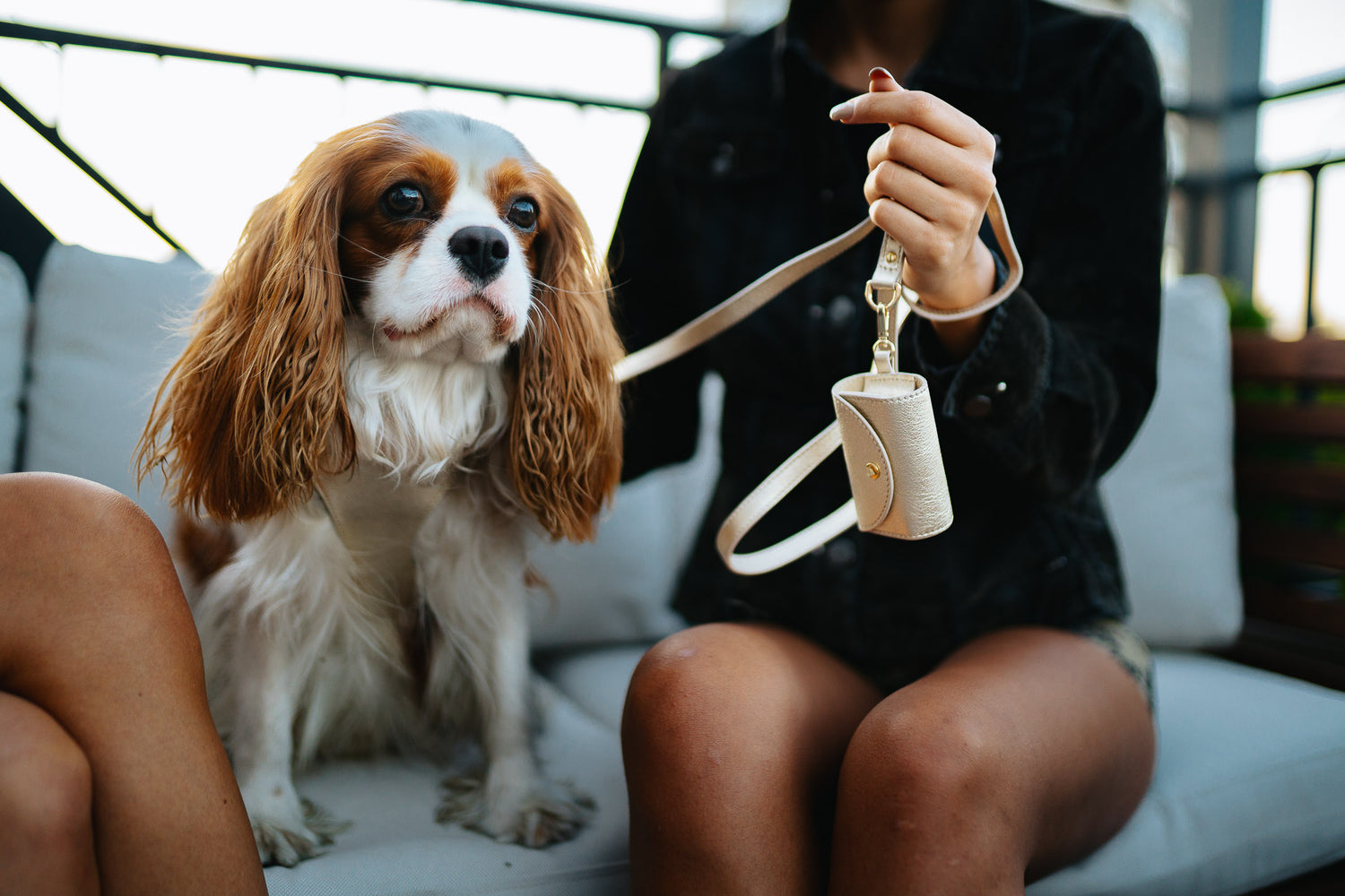 Dog Dispenser Bag Light Gold