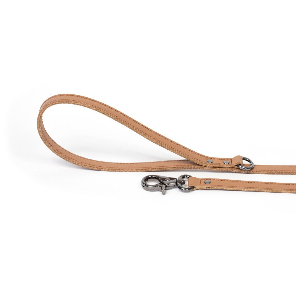 Dog Leash Bechiva Basic