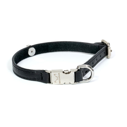 Leather Dog Collar Tino Black - Bechiva