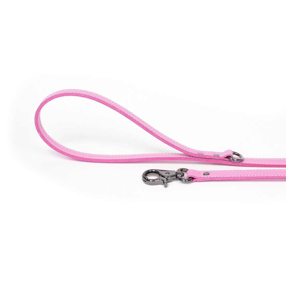 Dog Leash Bechiva Basic