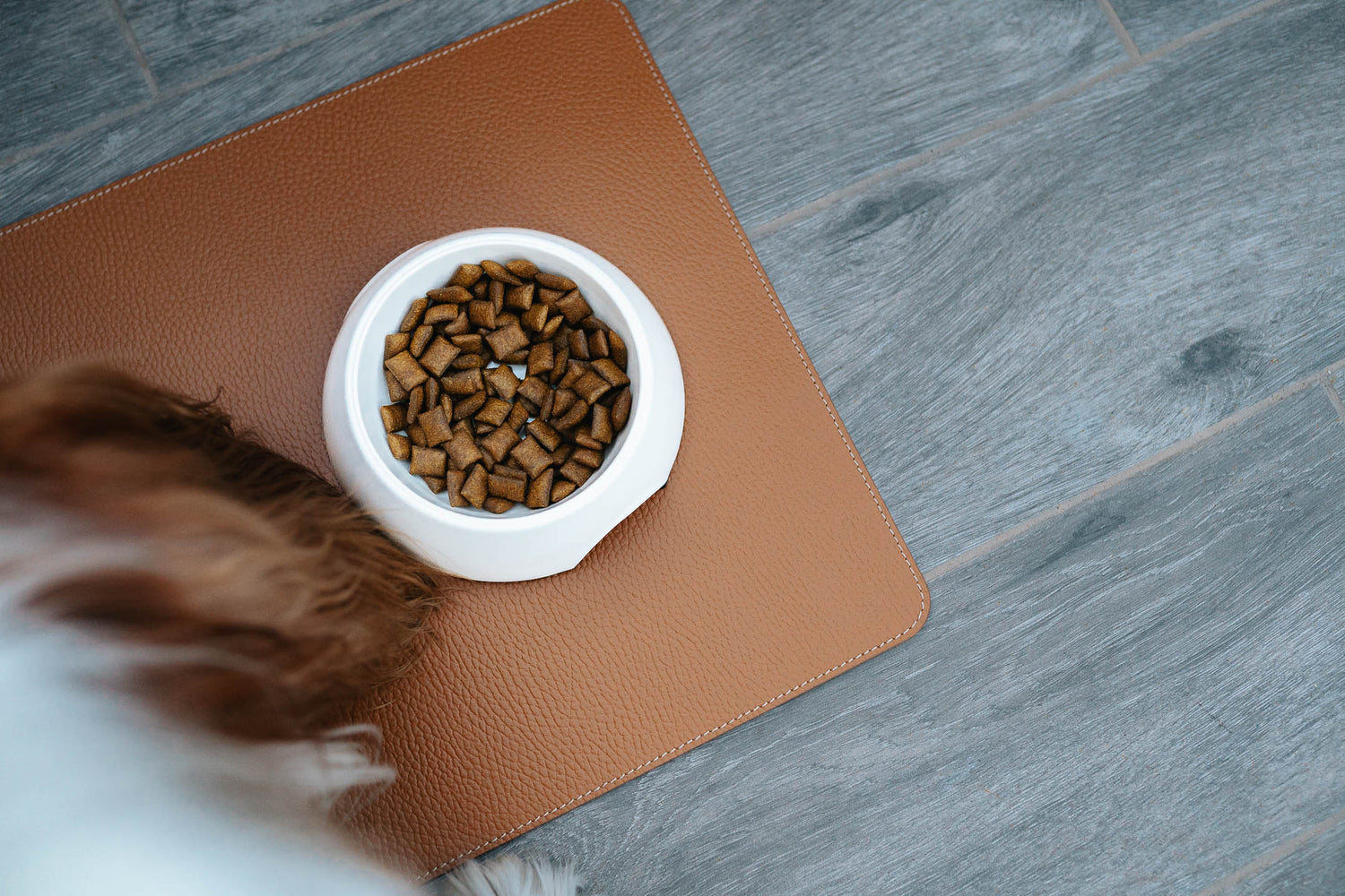Dog Mat