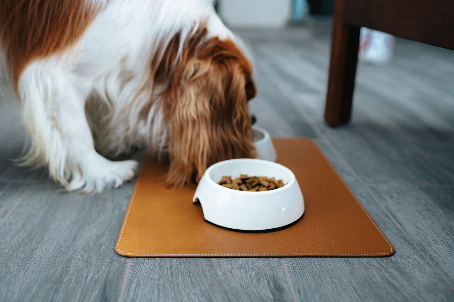 Dog Mat