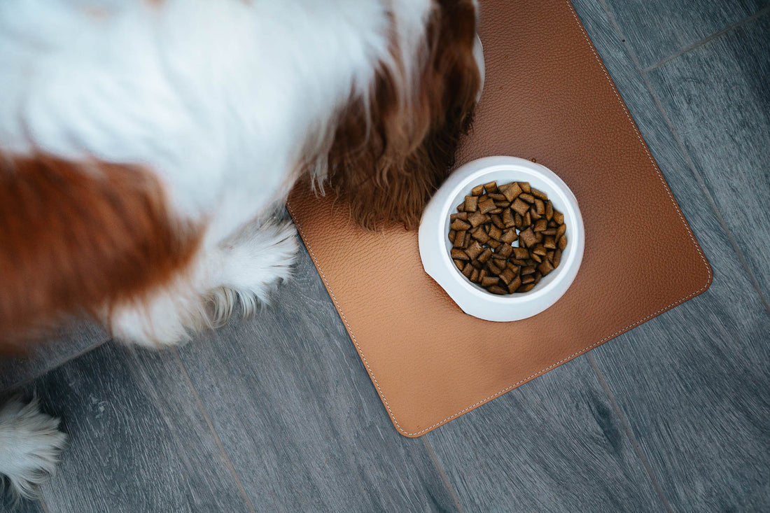 Recycled Leather Dog Mat
