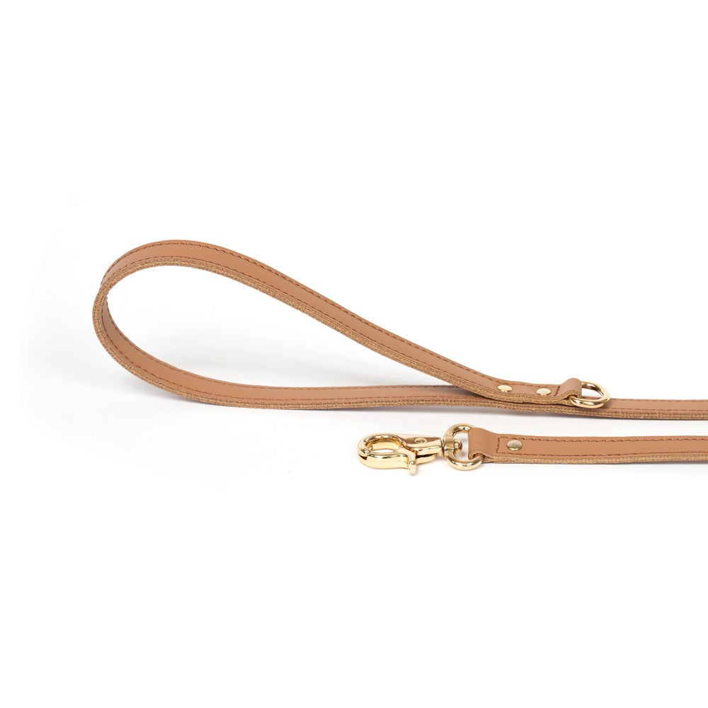 Dog Leash Bechiva Basic