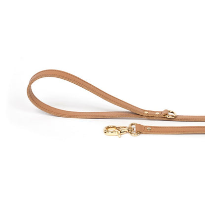 Dog Leash Bechiva Basic