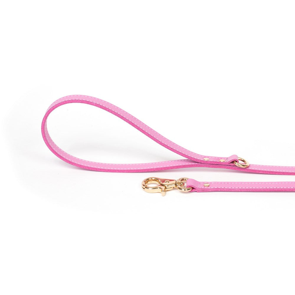 Dog Leash Bechiva Basic