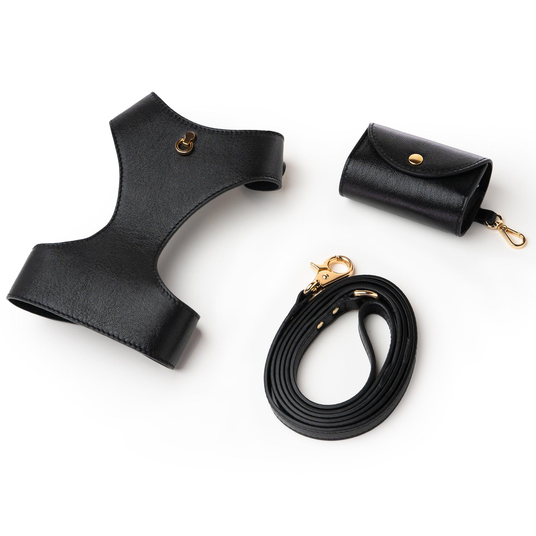 3in1 Set - Dog Harness, Leash, Dispenser Bag - Tino Black - Bechiva