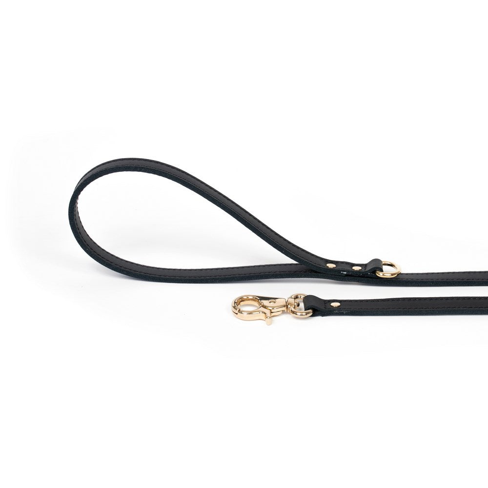 Dog Leash Bechiva Basic