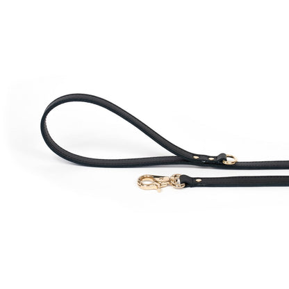 Dog Leash Bechiva Basic