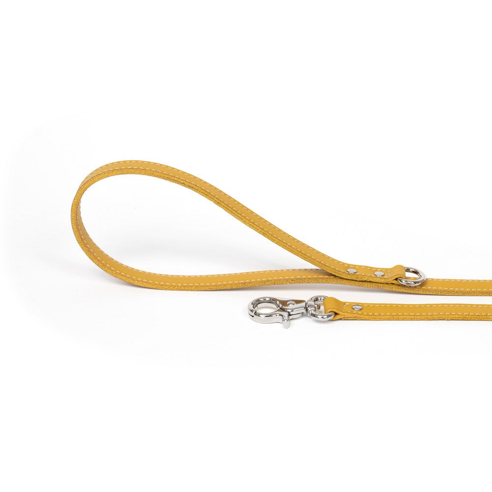 Dog Leash Bechiva Basic