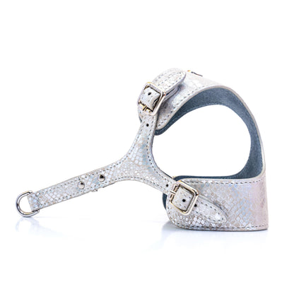 Dog Harness Luna Python Silver - Bechiva