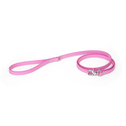 Dog Leash Bechiva Basic