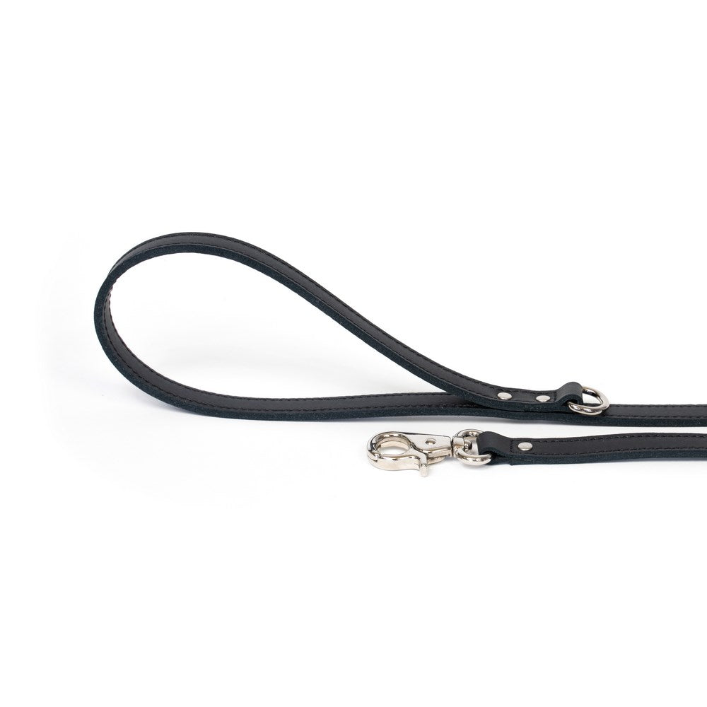 Dog Leash Bechiva Basic