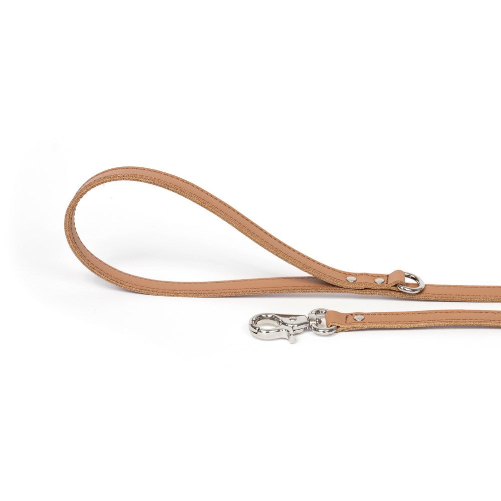 Dog Leash Bechiva Basic