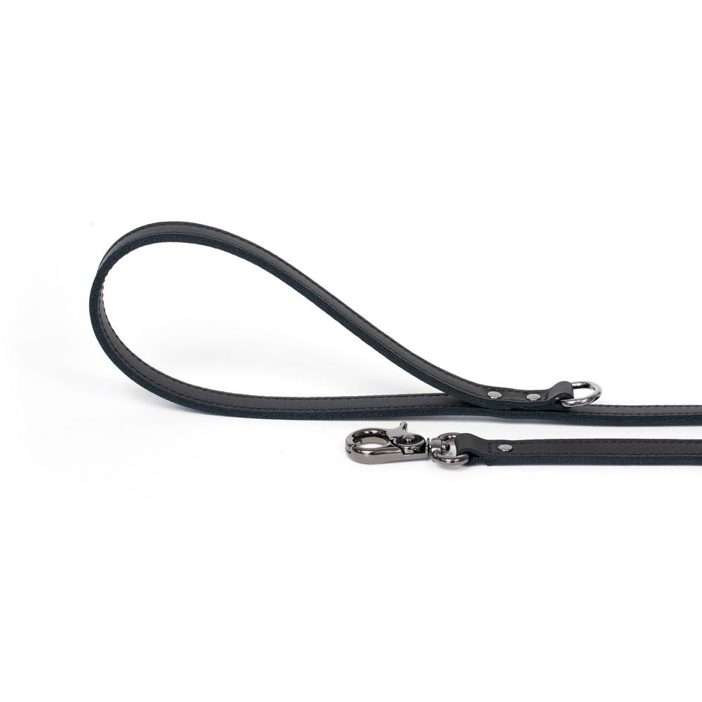 Dog Leash Bechiva Basic