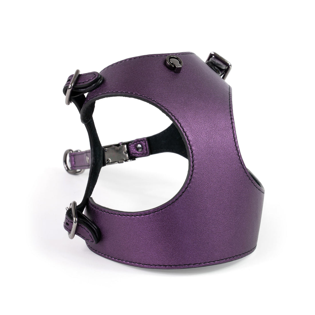 Dog Harness Tino Purple